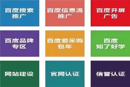 SEM推广代运营公司成功案例解析